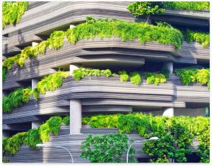 Plants growing off building